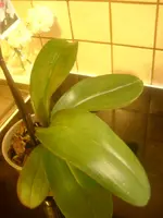 10.03.2010 013.webp