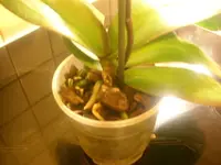 10.03.2010 014.webp