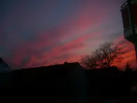 10.03.2010 008.webp