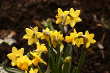 IMG_7354.webp