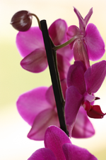 IMG_7358.webp