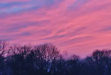 DSC04290.webp