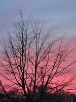 DSC04295.webp