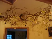 DSC01216.webp