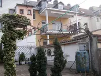 Weinrebenspalier 4.webp
