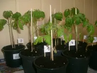 09.03.2010 011.webp