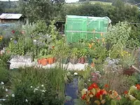 Garten4jahr3.webp
