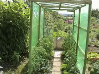 Gartentomatenhäuschen.webp