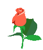 rote Rose.gif