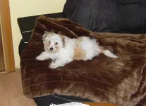SDC10013.webp