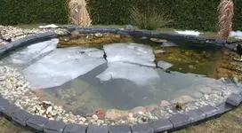 Folienteich fast eisfrei_klein.webp