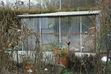 Tomatenh.3.webp