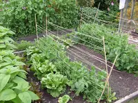 17.Mai 2009 (16).webp