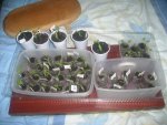 09.03.2010 016.jpg