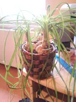 Foto 0484.webp
