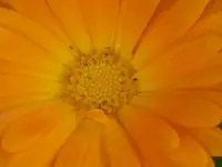 18080.webp