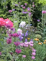 Gartenbunt2.webp
