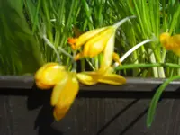 CIMG8878.webp