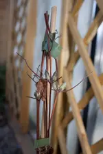 20100307111146.webp
