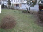 DSC00338.jpg