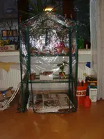 DSC00328.webp