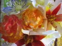 k-IMG_1929.webp