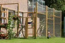 IMG_0253_800x534.webp