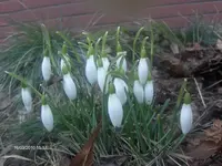 HPIM4086.webp