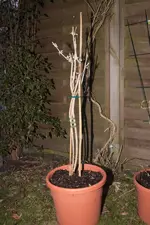 20100316193035.webp