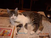 DSCN0197.webp