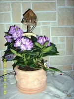 JD500622.webp