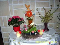 JD500623.webp