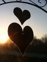 DSCF0644.webp