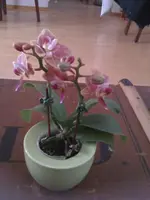 Bilder 16.03.2010.webp
