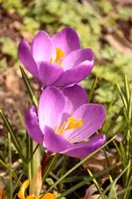 IMG_7568.webp