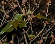 DSC_4338.webp