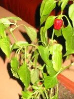 IMG_4920.webp