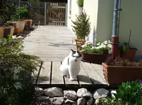 DSC02508.webp