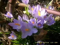 18754.webp