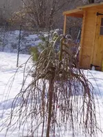 P2250001.webp