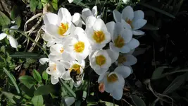 020.webp