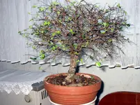 IMG_4892.webp
