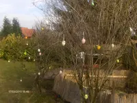HPIM4105.webp