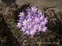 JD500643.webp