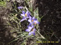 JD500646.webp