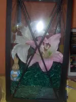 HPIM4110.webp