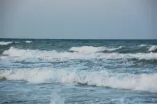 DSC_2460.webp