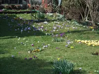 DSCF0012.webp