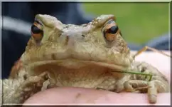 portrait.webp
