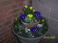 100_2319.webp